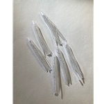 UV Clear Glitter Shrimp 6ct