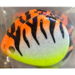 Yellow/Orange Tiger Sz2 6ct