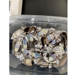Silver Glow w/Quick Change Clevis Sz1 6ct