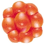 Berkley Power Bait Floating Trout/Steelhead Egg Clusters FL. Orange