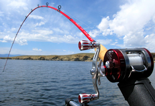 lamiglas,kokanee rod, kokanee, trout, fishing poles, CGR76UL