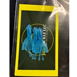 J&K Micro Squid 3 Pks