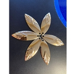 Willow Fishing Blades