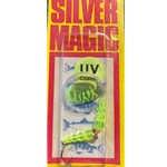 Wordens silver magic